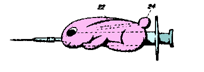 Inventions & Patents - Bunny Syringe - Patently Absurd!