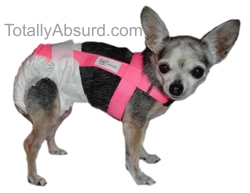 Pet Diaper Harness - Patents & Inventions